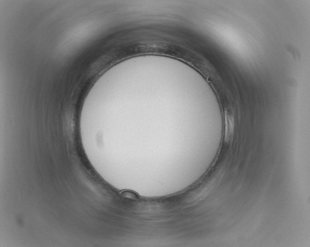 X0000115300435200911231312