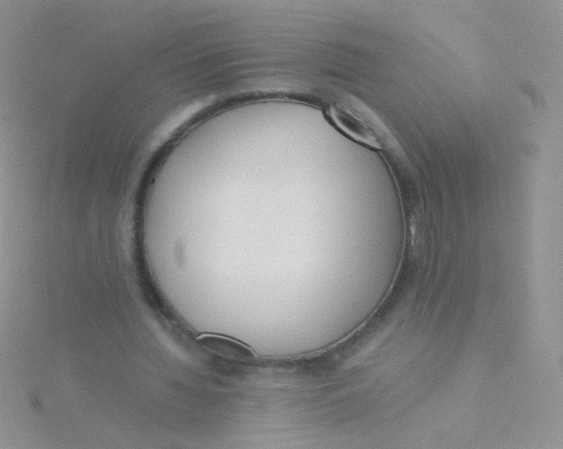 X0000115300436200911231312