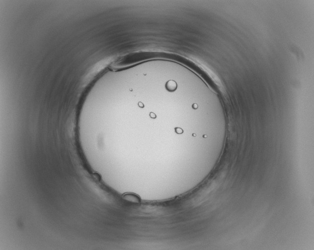 X0000115300437200911231312