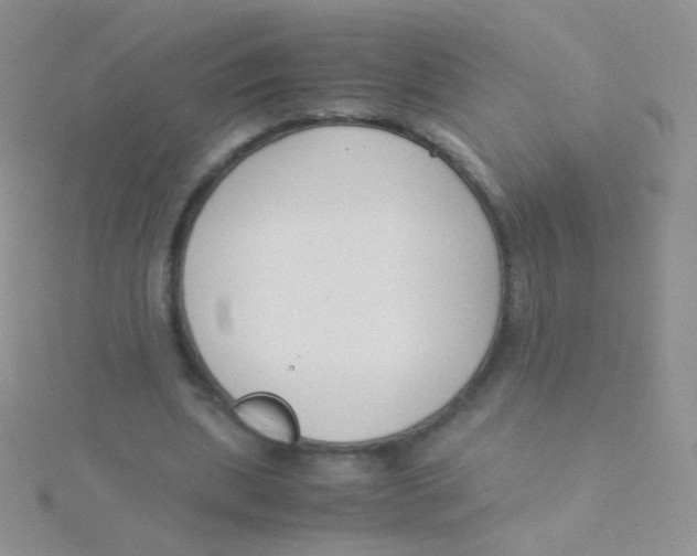 X0000115300439200911231312