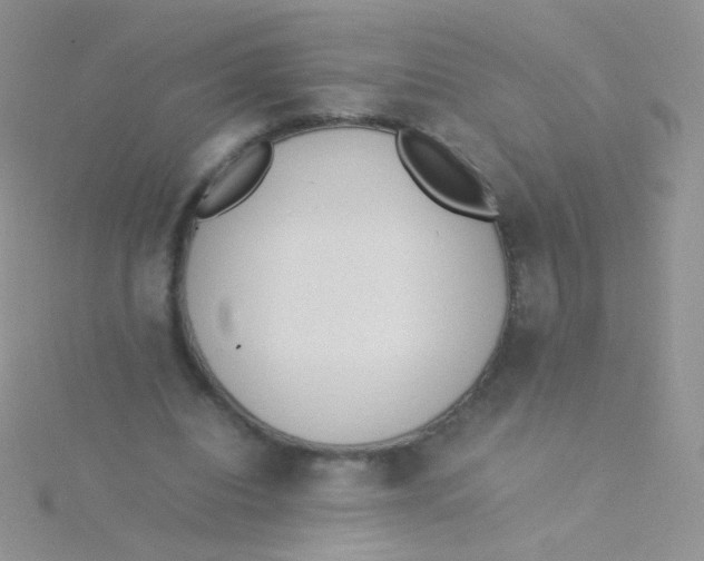 X0000115300440200911231312