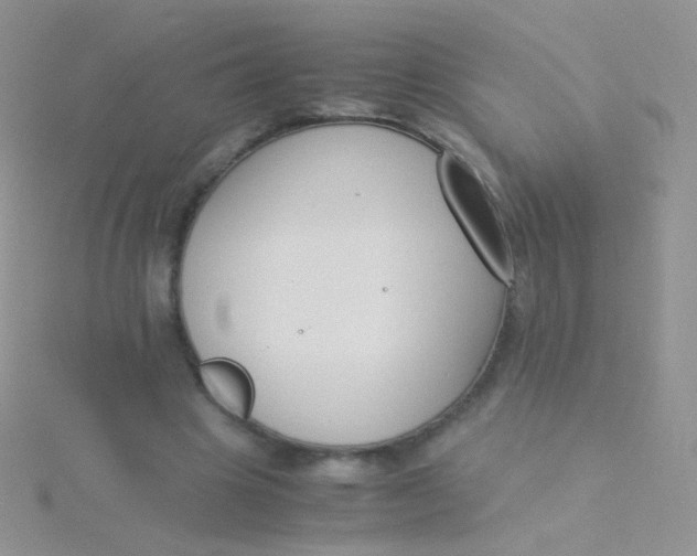 X0000115300441200911231312