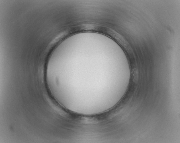 X0000115300442200911231312