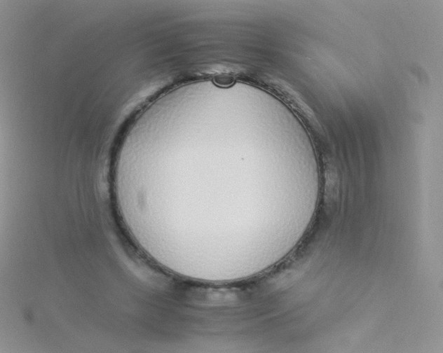 X0000115300443200911231312