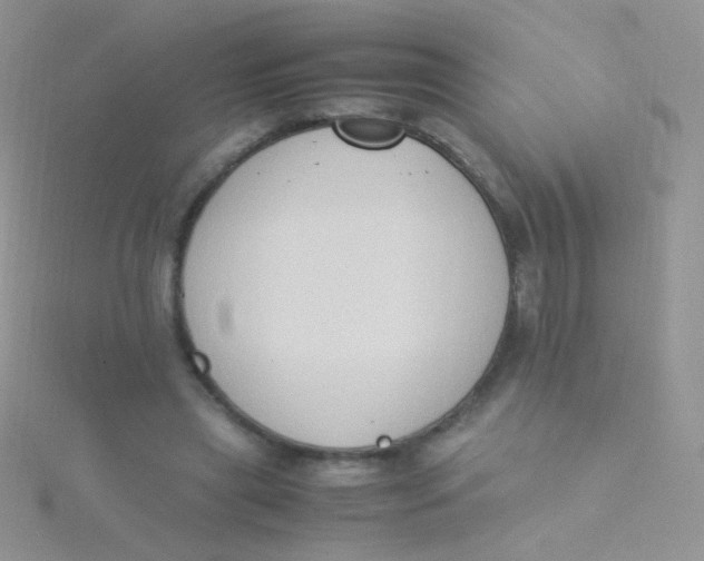 X0000115300445200911231312