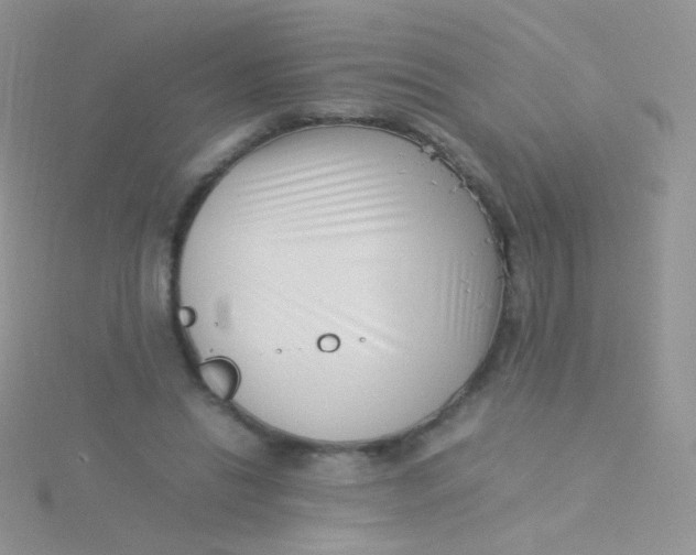 X0000115300446200911231312