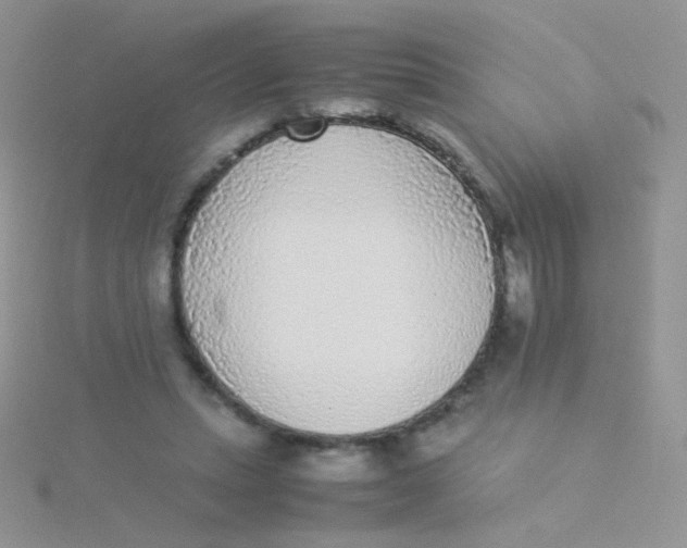 X0000115300447200911231312