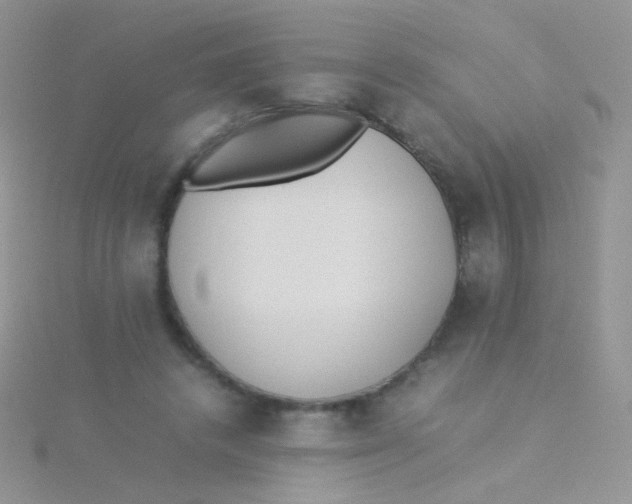 X0000115300448200911231312