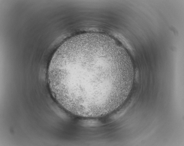 X0000115300449200911231312