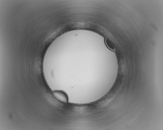 X0000115300450200911231312