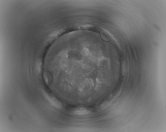 X0000115300451200911231312