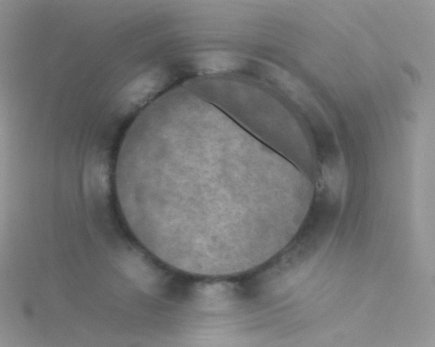 X0000115300452200911231312