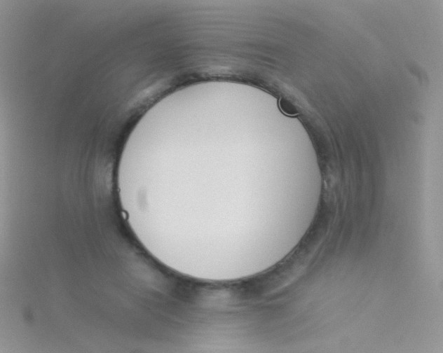 X0000115300454200911231312