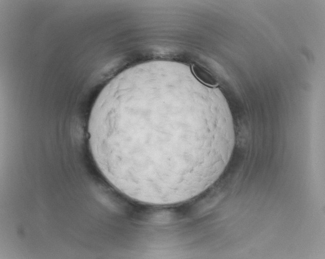 X0000115300456200911231312