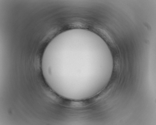 X0000115300457200911231312