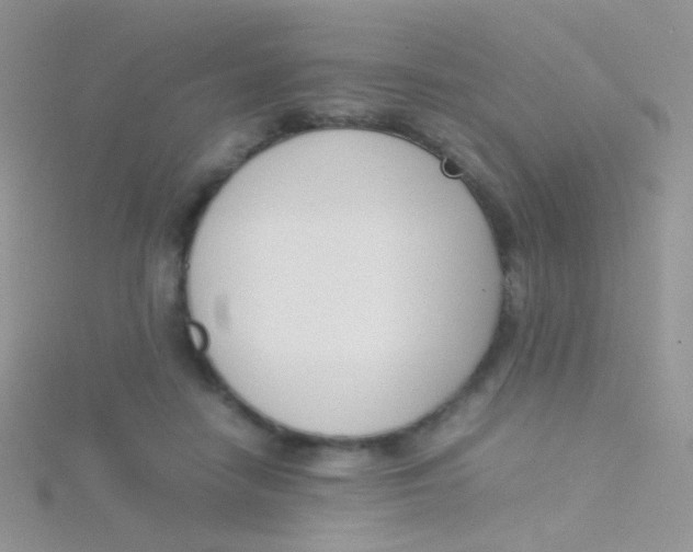 X0000115300458200911231312