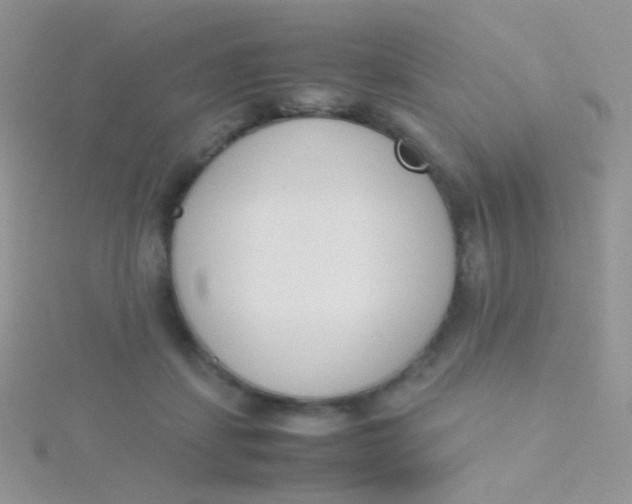 X0000115300459200911231312