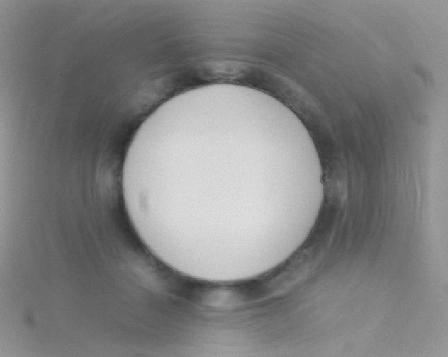 X0000115300460200911231312