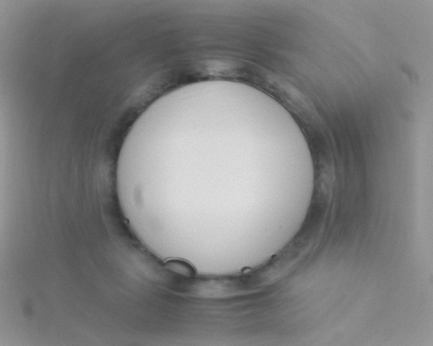 X0000115300461200911231312