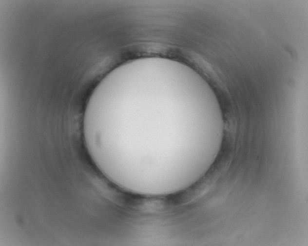 X0000115300462200911231312