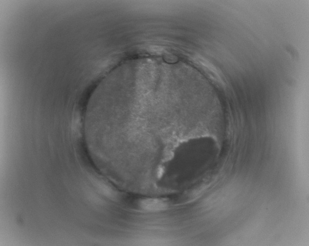 X0000115300465200911231312