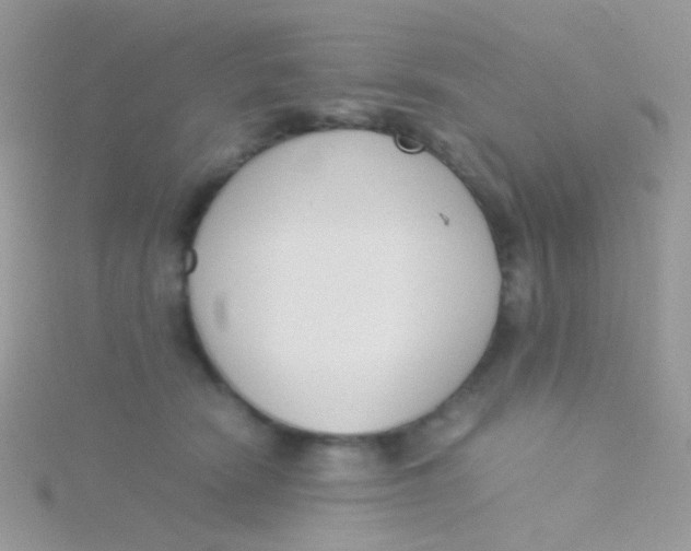 X0000115300466200911231312