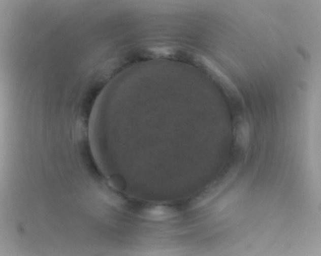 X0000115300467200911231313