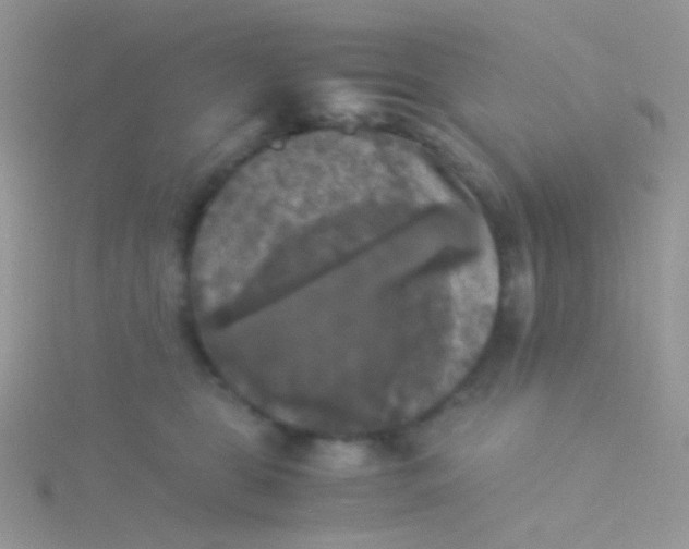 X0000115300469200911231313