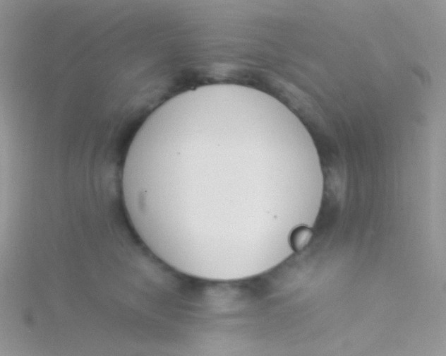 X0000115300470200911231313