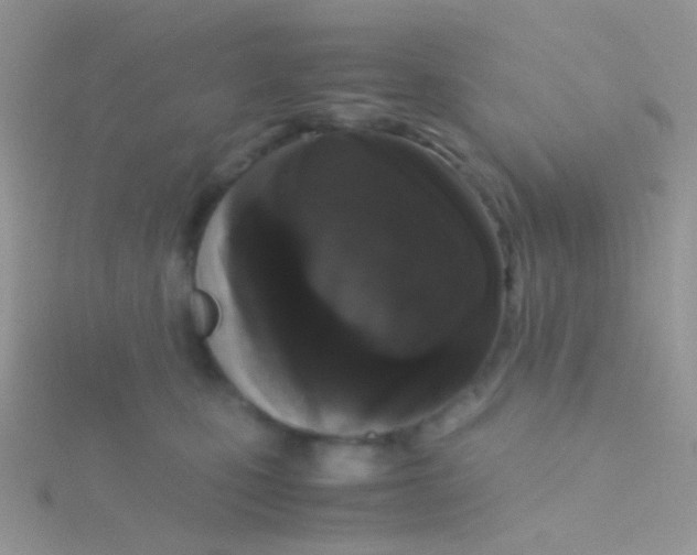 X0000115300471200911231313