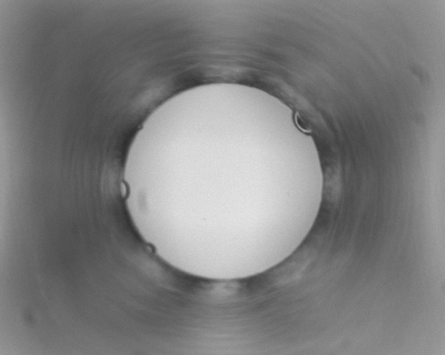 X0000115300474200911231313