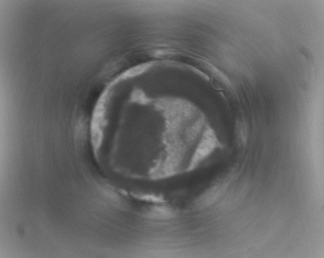 X0000115300475200911231313