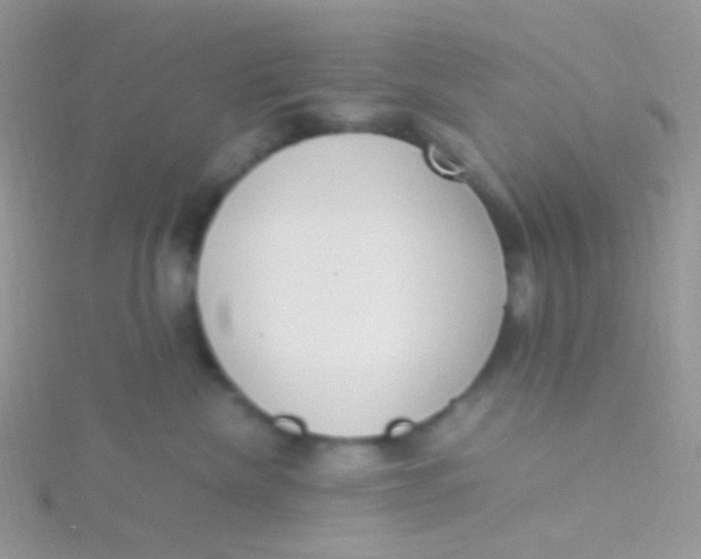 X0000115300476200911231313