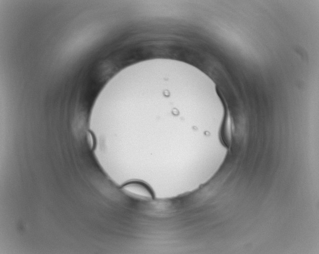 X0000115300478200911231313