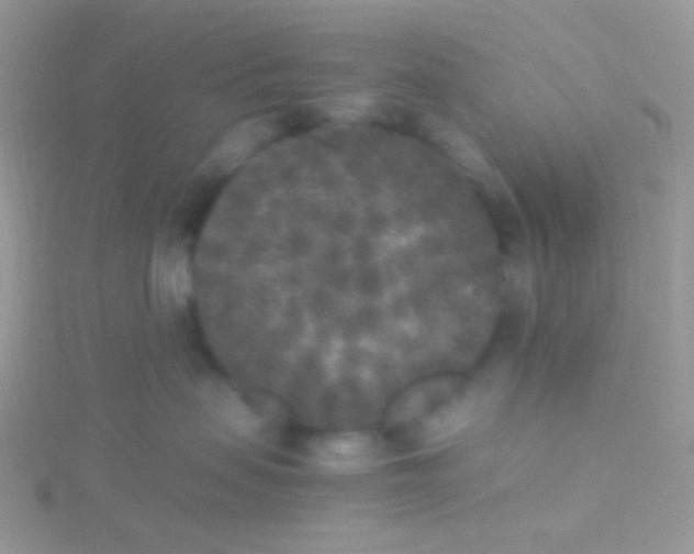 X0000115300479200911231313