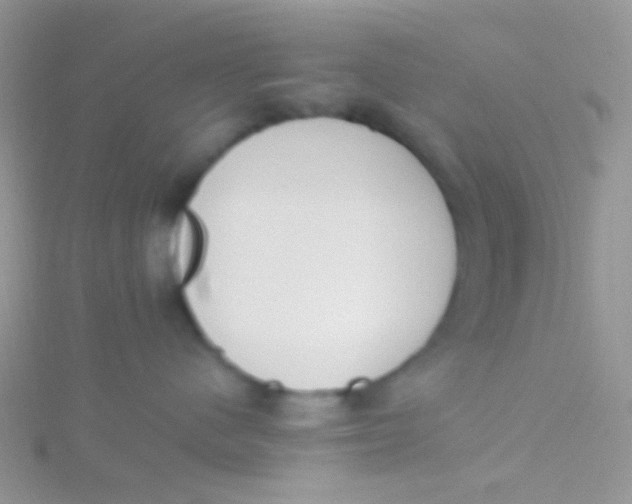 X0000115300480200911231313