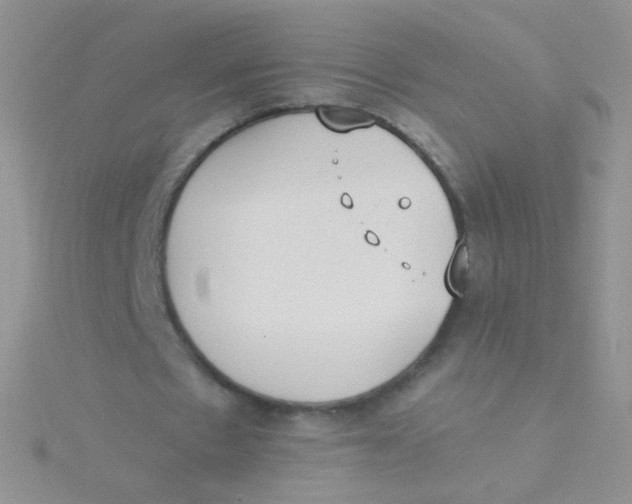 X0000115300481200911231312