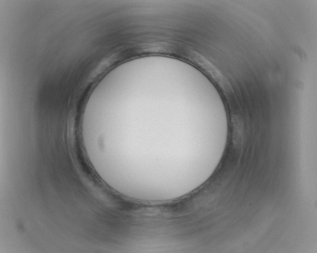 X0000115300482200911231312