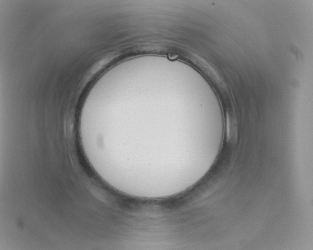 X0000115300483200911231312