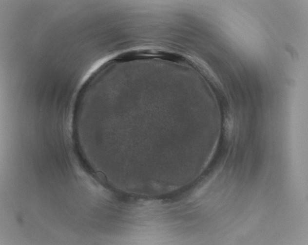 X0000115300484200911231312