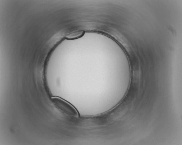 X0000115300485200911231312