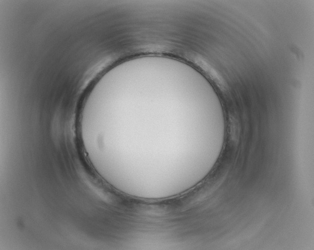 X0000115300486200911231312