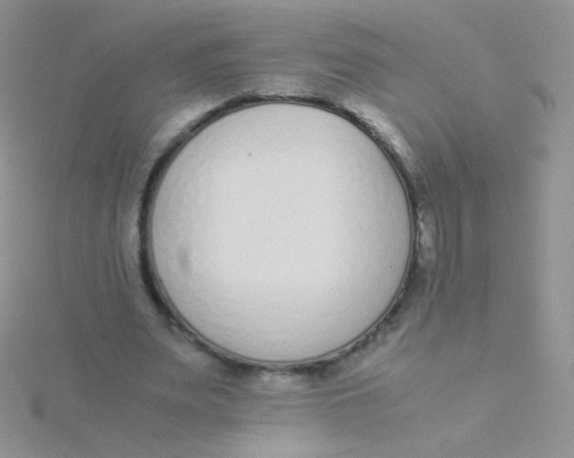 X0000115300487200911231312