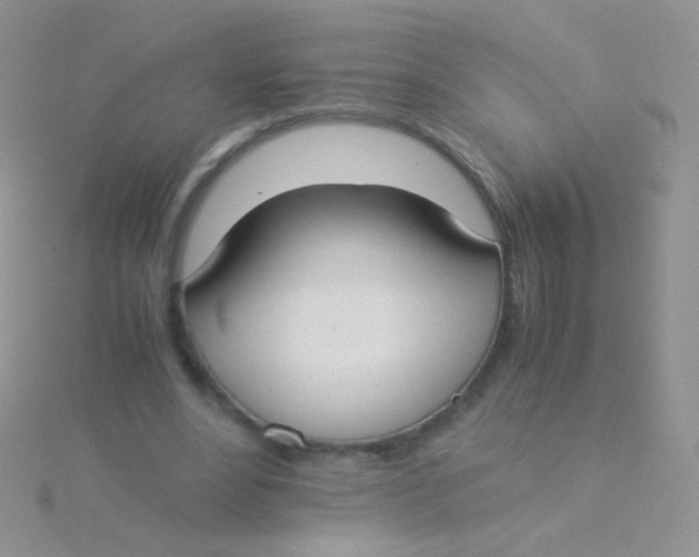 X0000115300488200911231312