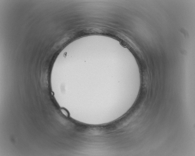 X0000115300489200911231312