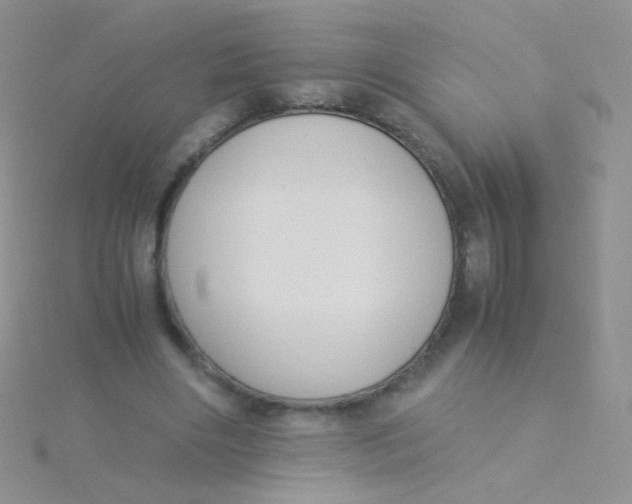 X0000115300490200911231312