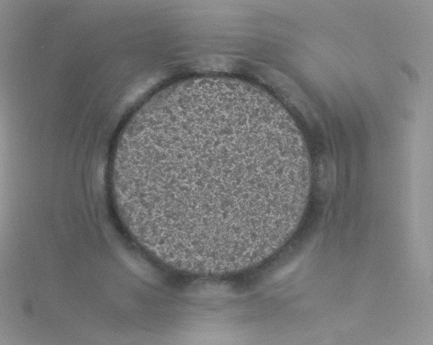 X0000115300491200911231312