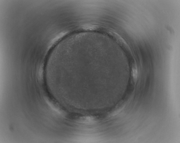 X0000115300492200911231312