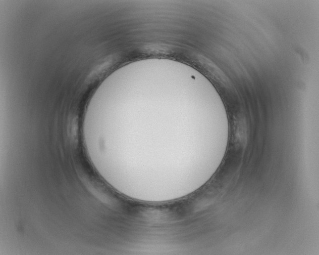 X0000115300494200911231312