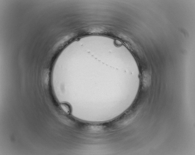 X0000115300495200911231312